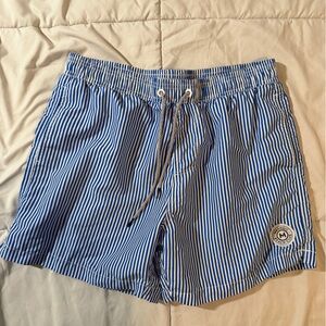 Blue Striped Women's Shorts